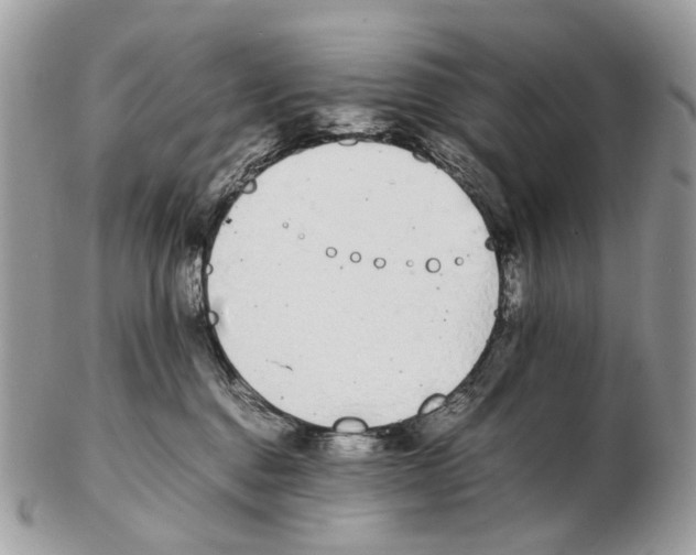 X0000102470376200809051338