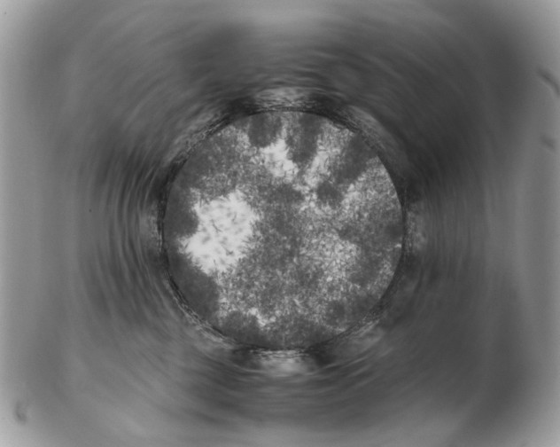 X0000102470377200809051338