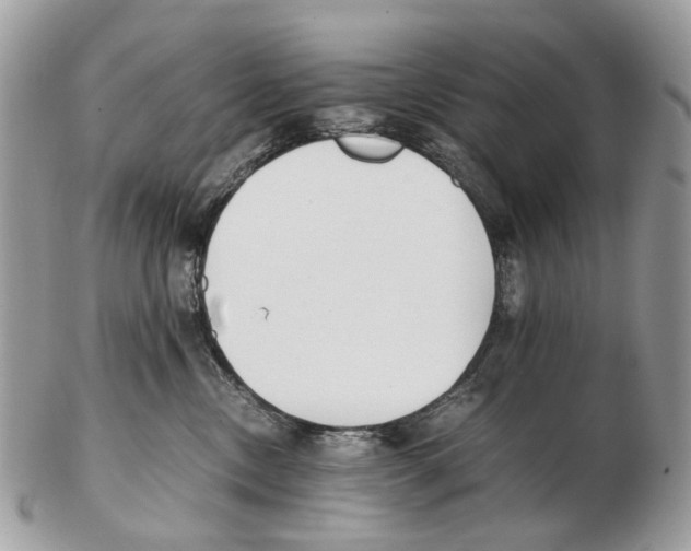 X0000102470378200809051338
