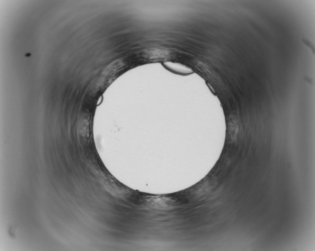 X0000102470379200809051338