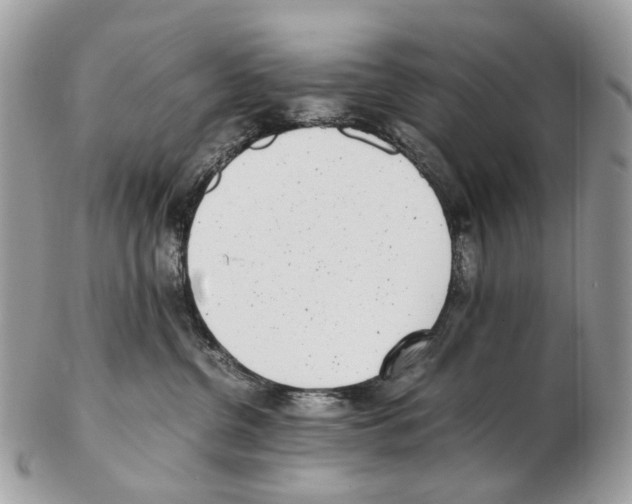 X0000102470380200809051338