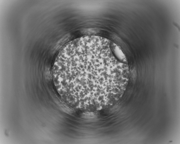 X0000102470381200809051338