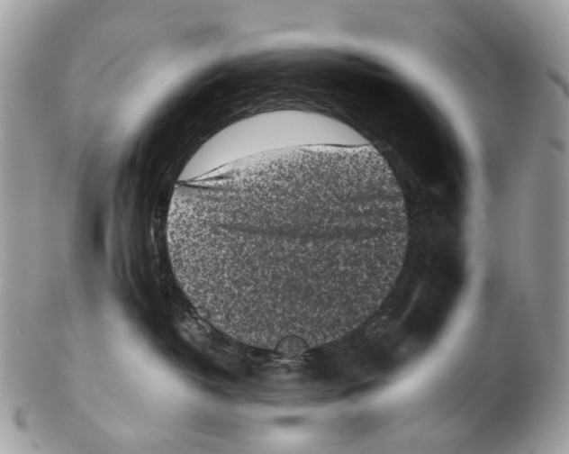 X0000102470382200809051338