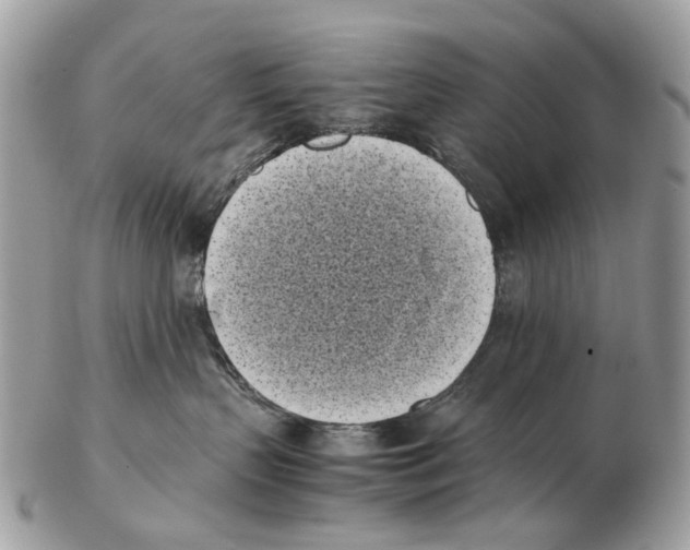 X0000102470383200809051338