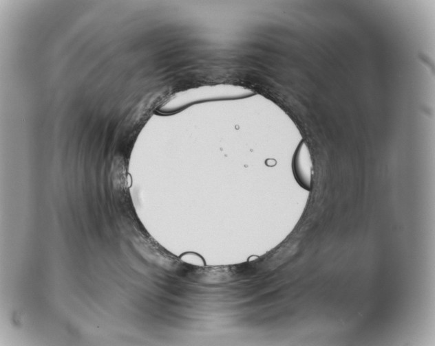 X0000102470384200809051338