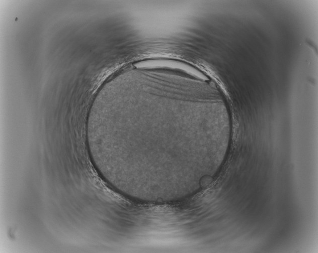 X0000102470385200809051338