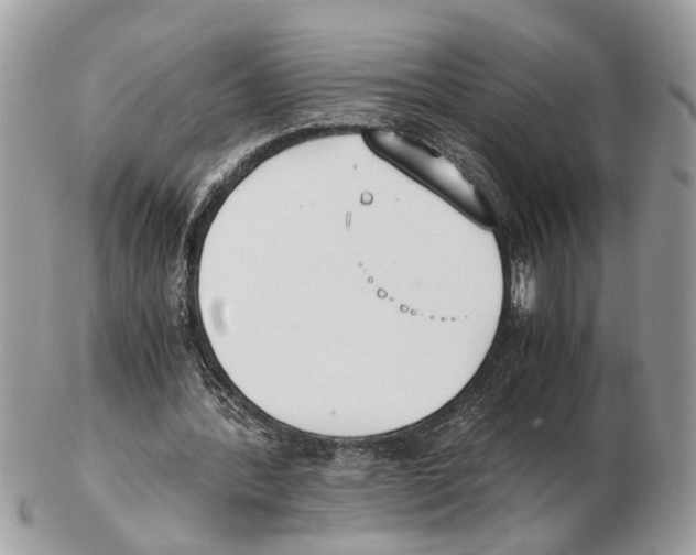 X0000102470388200809051338