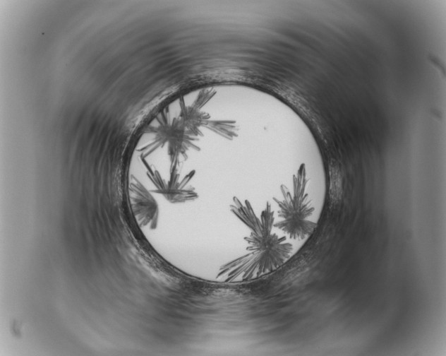 X0000102470390200809051338