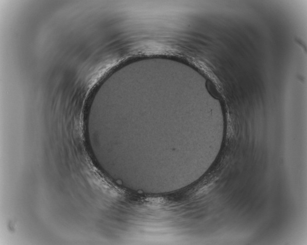 X0000102470391200809051338