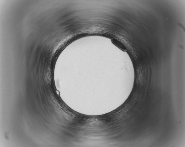 X0000102470392200809051338