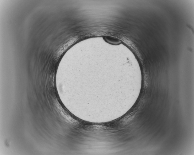 X0000102470393200809051338