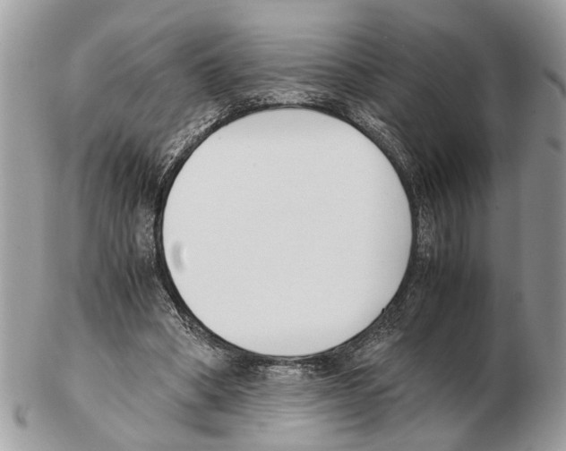X0000102470394200809051338
