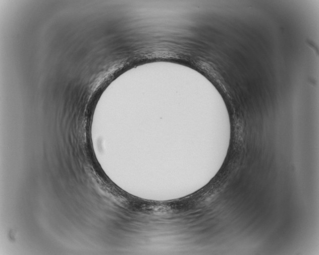 X0000102470395200809051338