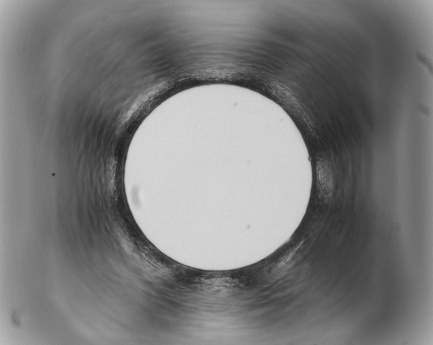 X0000102470396200809051338