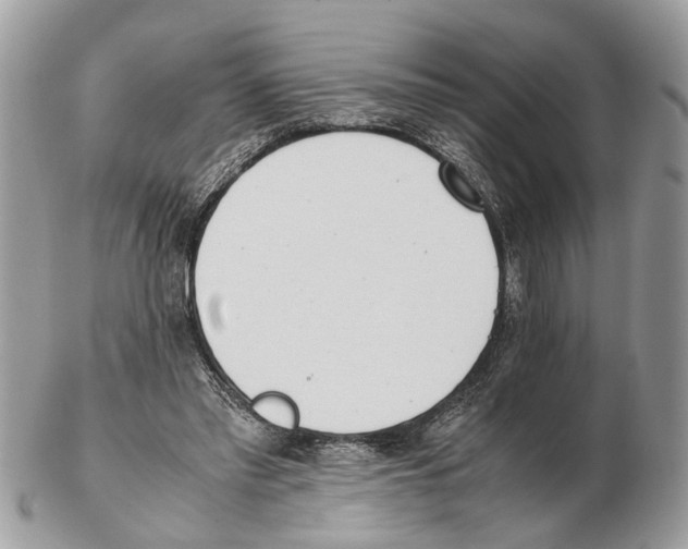 X0000102470397200809051338