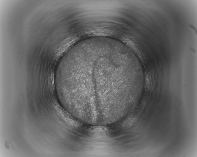 X0000102470398200809051338