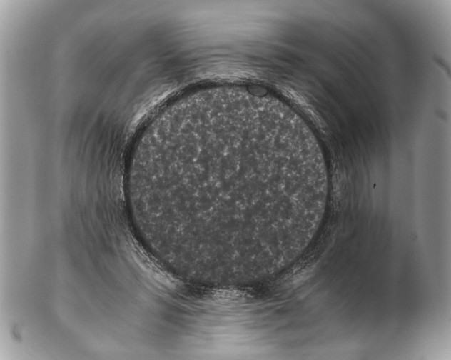 X0000102470399200809051338