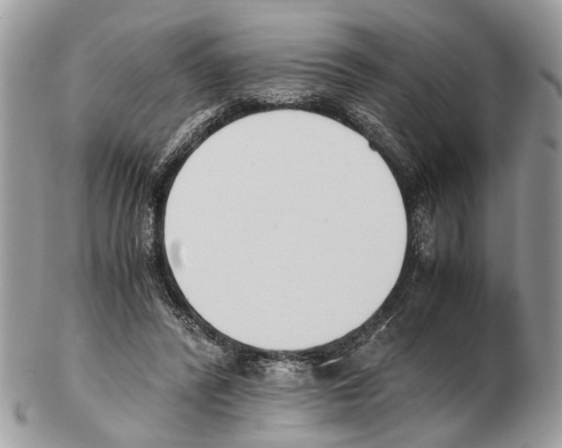 X0000102470400200809051338