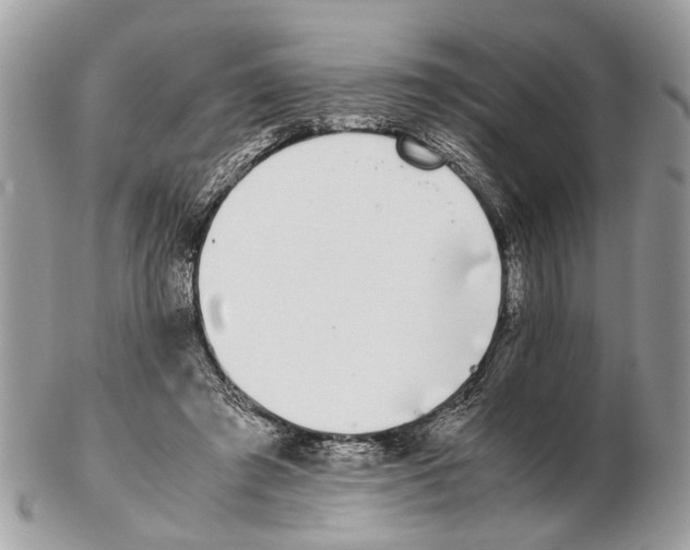 X0000102470401200809051338