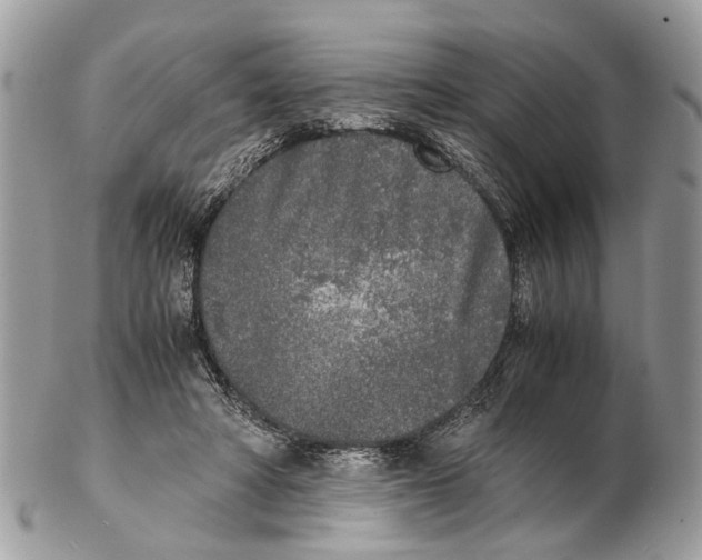 X0000102470402200809051338