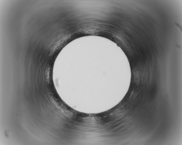 X0000102470404200809051338
