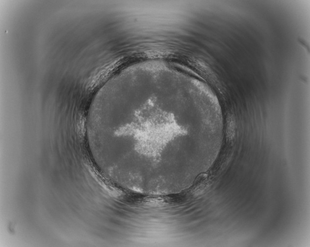X0000102470405200809051338
