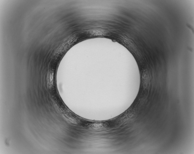 X0000102470406200809051338