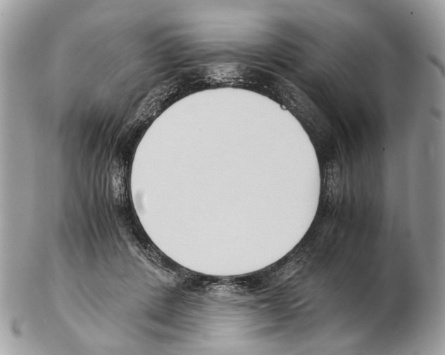 X0000102470408200809051337