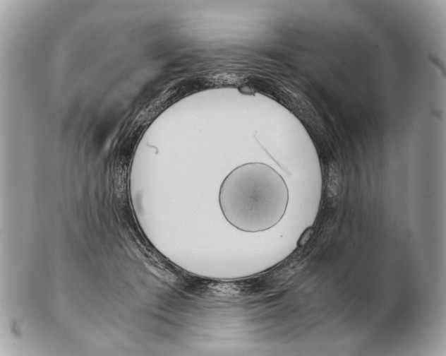 X0000102470409200809051337