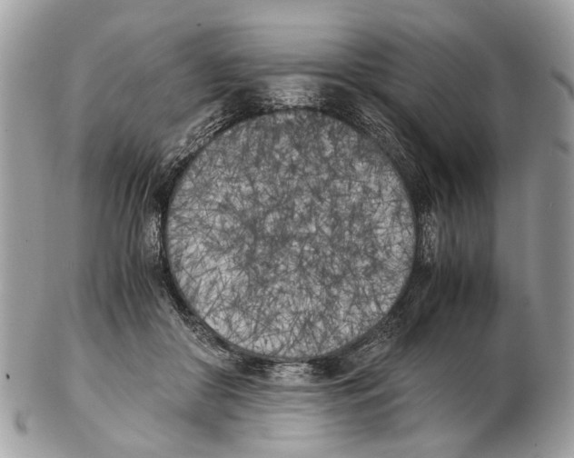 X0000102470410200809051337