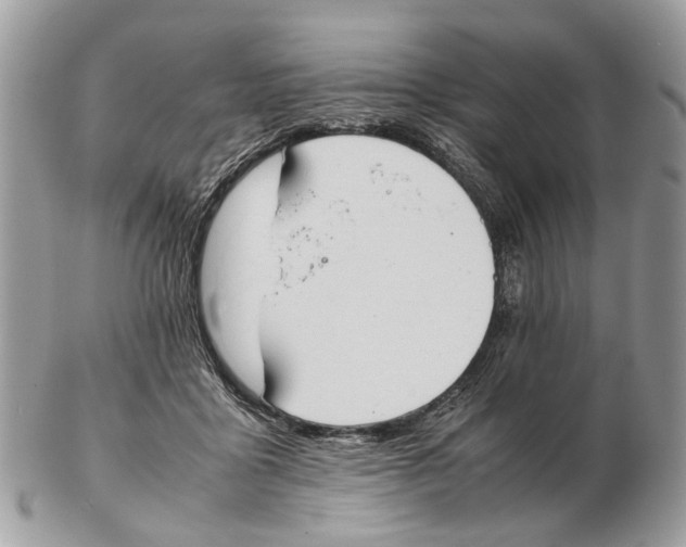 X0000102470411200809051337