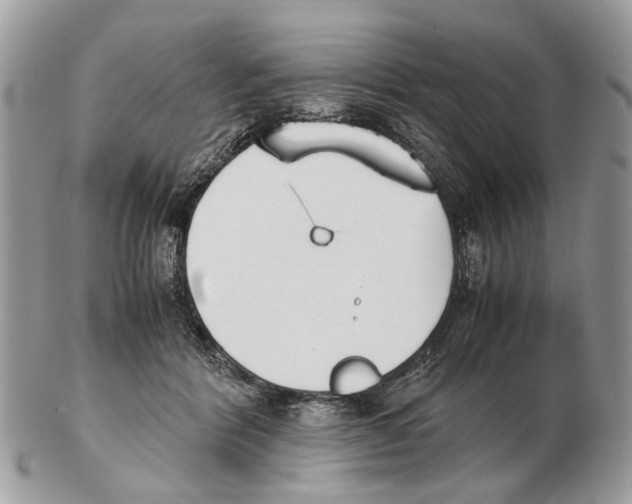 X0000102470412200809051337