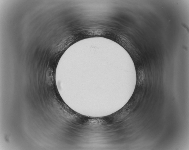 X0000102470414200809051337