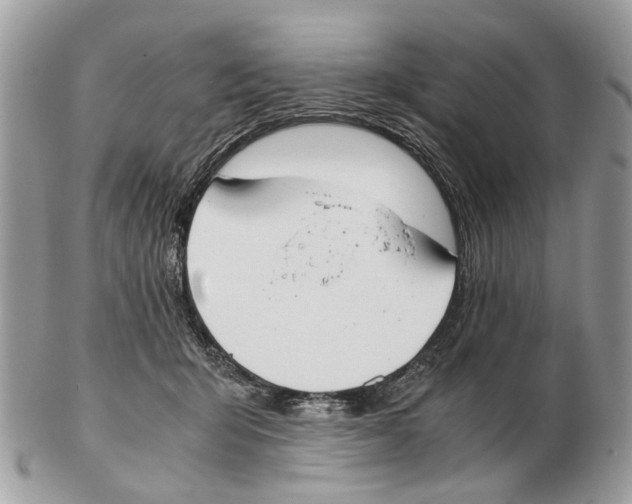 X0000102470415200809051337