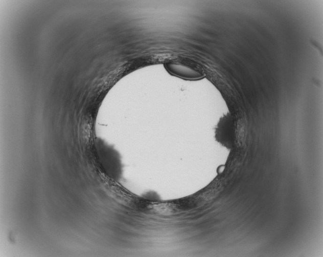 X0000102470417200809051337