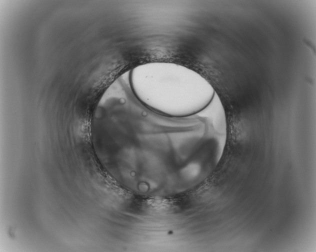 X0000102470419200809051337