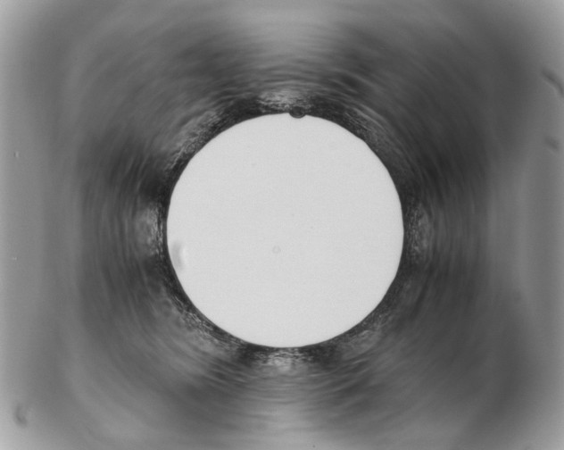 X0000102470420200809051337