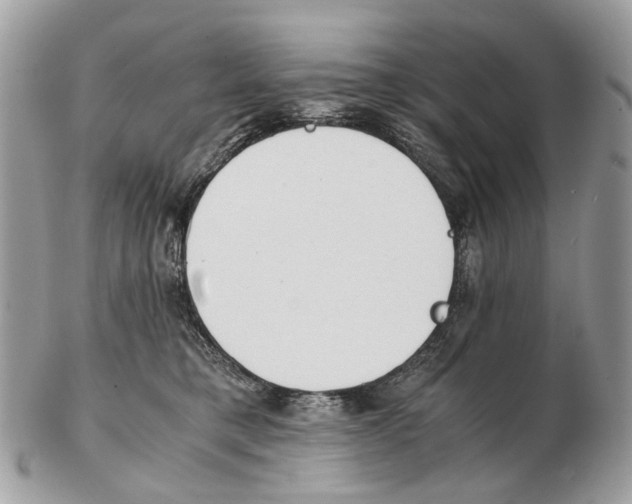 X0000102470421200809051337