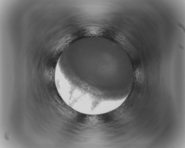 X0000102470423200809051337