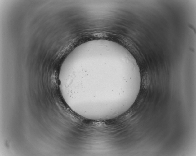 X0000102470424200809051337