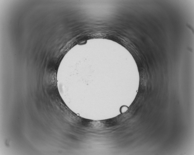 X0000102470425200809051337