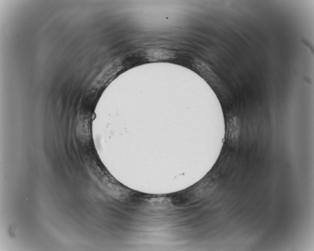 X0000102470426200809051337