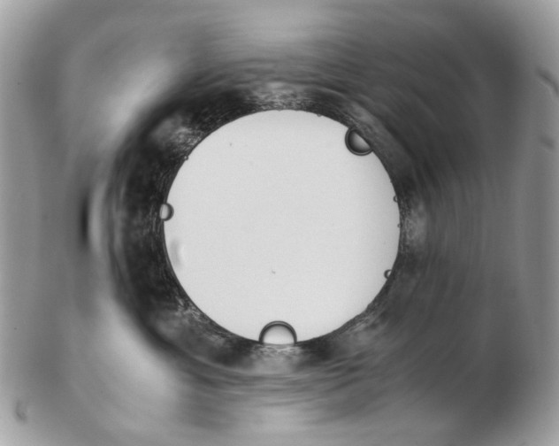 X0000102470429200809051337