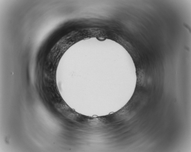 X0000102470430200809051337