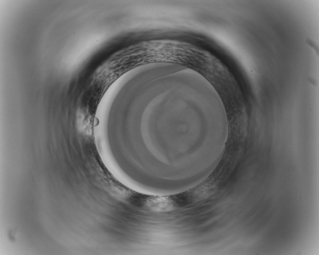 X0000102470431200809051337