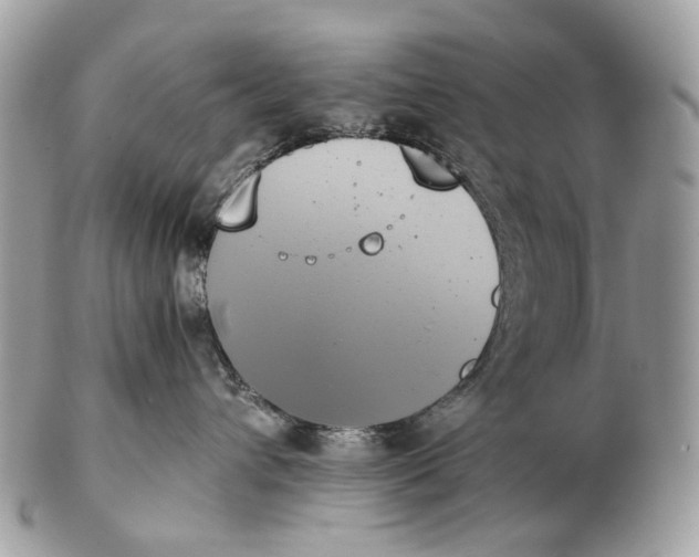 X0000102470432200809051337