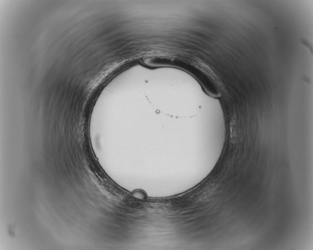 X0000102470436200809051336