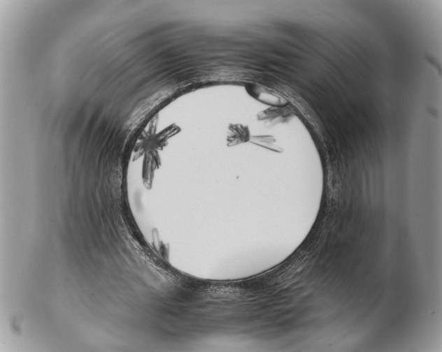 X0000102470437200809051336