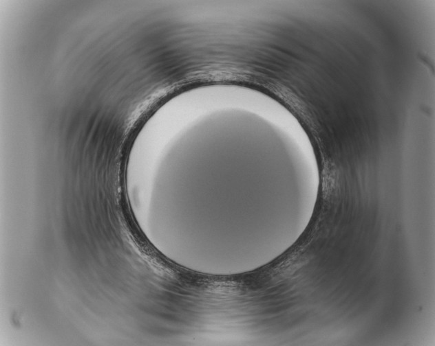 X0000102470438200809051336
