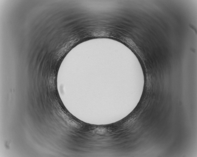 X0000102470441200809051336